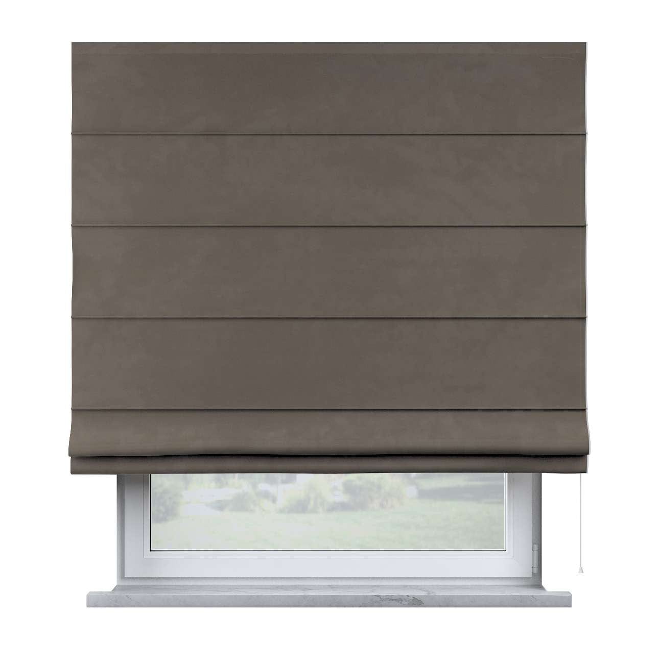 YLLTP-1502-704-POSH-VELVET