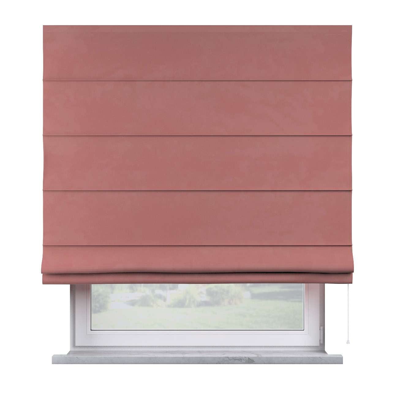 YLLTP-1502-704-POSH-VELVET