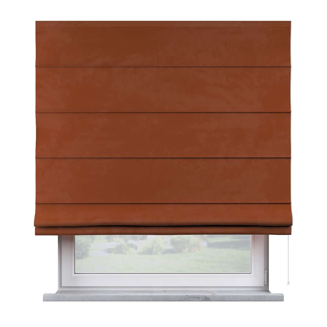 YLLTP-1502-704-POSH-VELVET