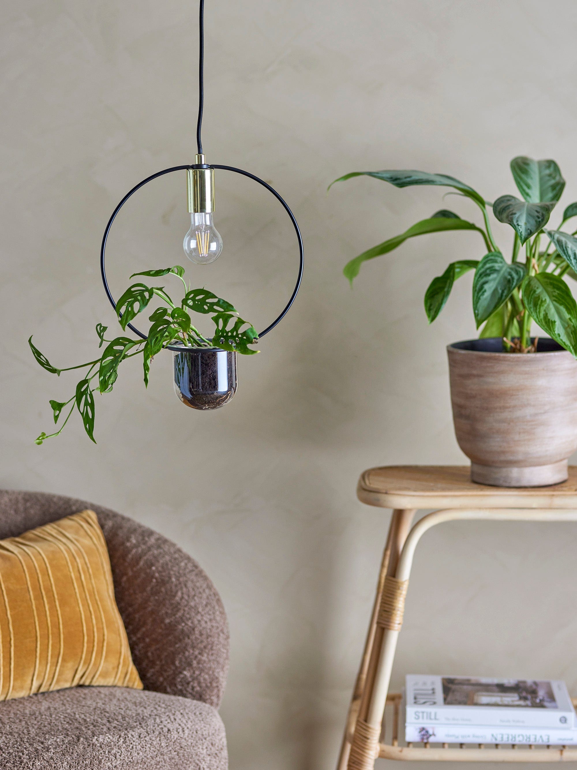 Lustra Caralina Auriu (4)