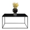 Masa de cafea din pal si metal, Vita Negru, L60xl90xH45 cm (3)