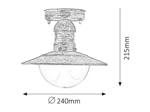 RabaLux Plafoniera exterior Oslo 8739 Alb Antichizathizat / Transparent
