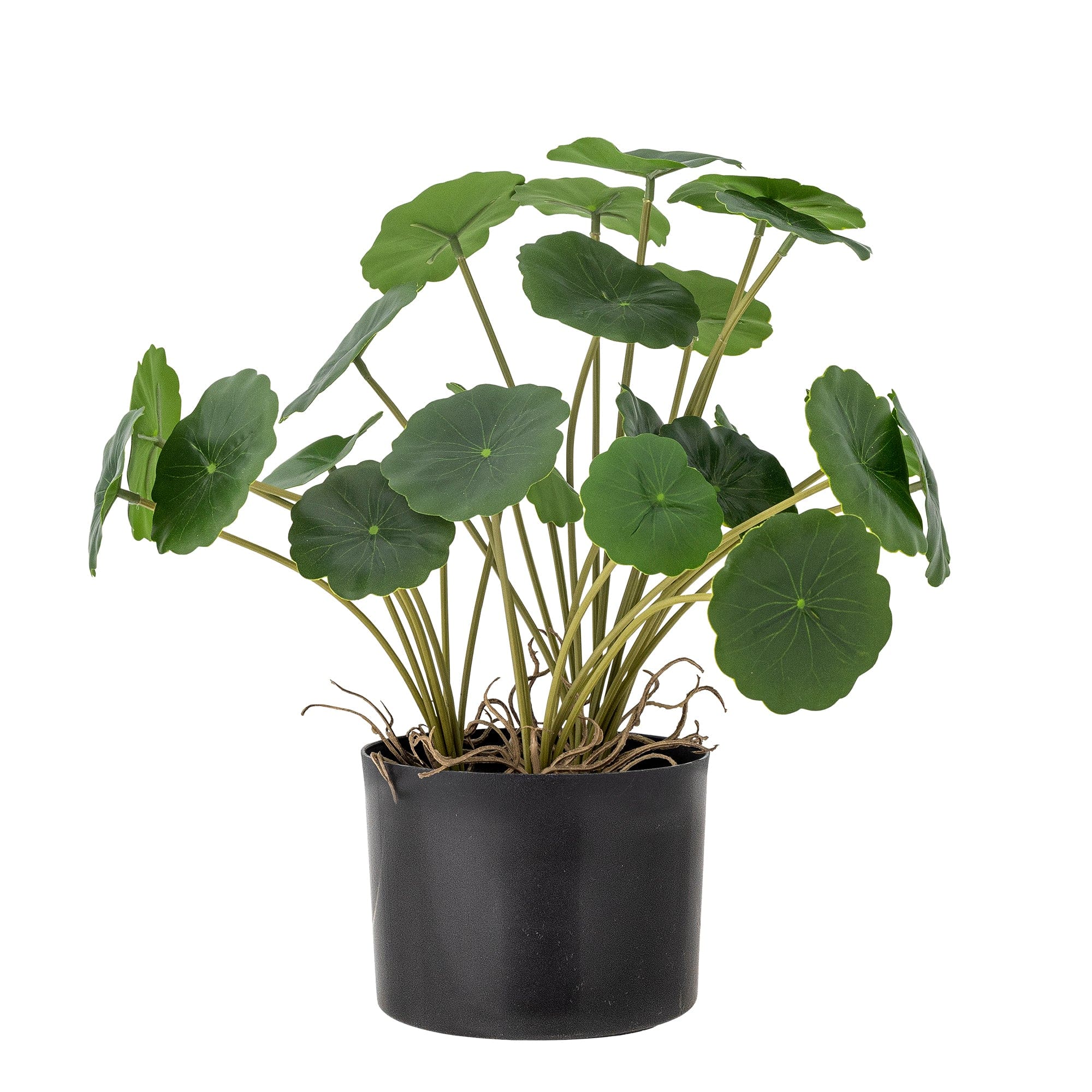 Planta artificiala in ghiveci, Copper Verde, H30,5 cm