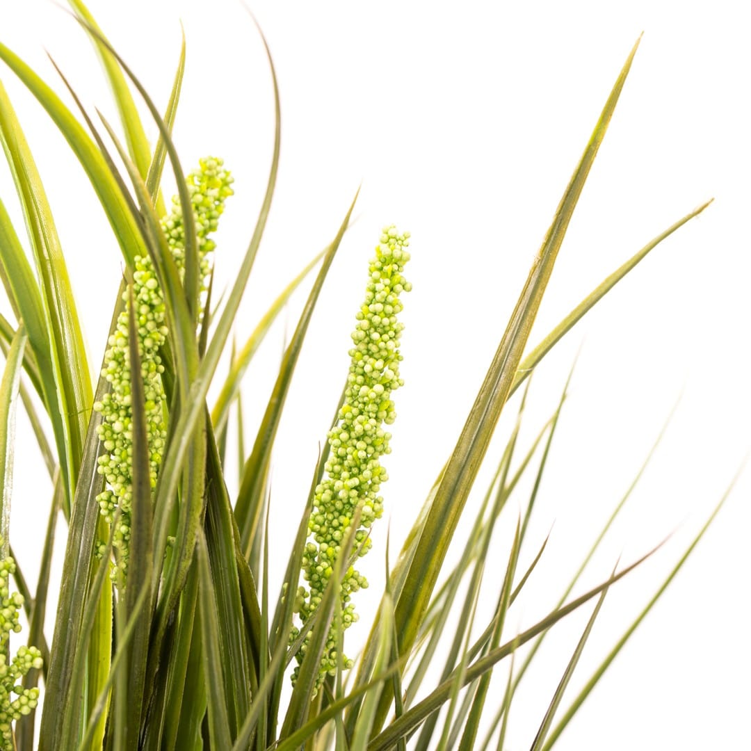 Planta artificiala in ghiveci, Grassy Verde / Antracit, H47 cm (2)