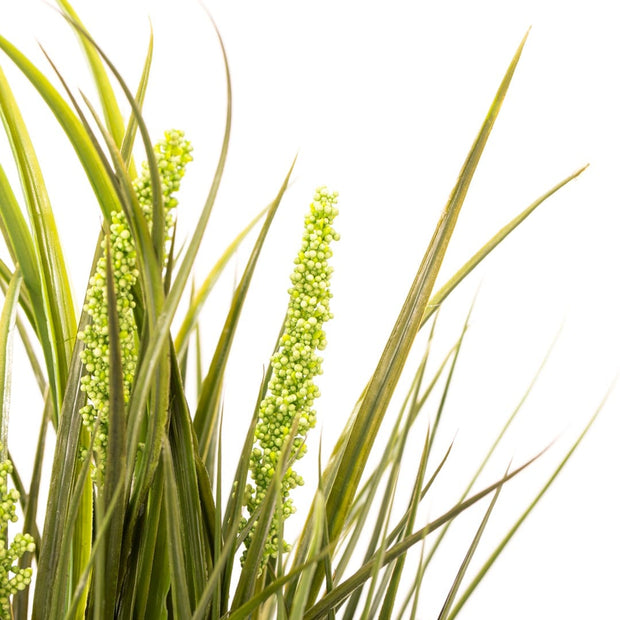 Planta artificiala in ghiveci, Grassy Verde / Antracit, H47 cm (2)