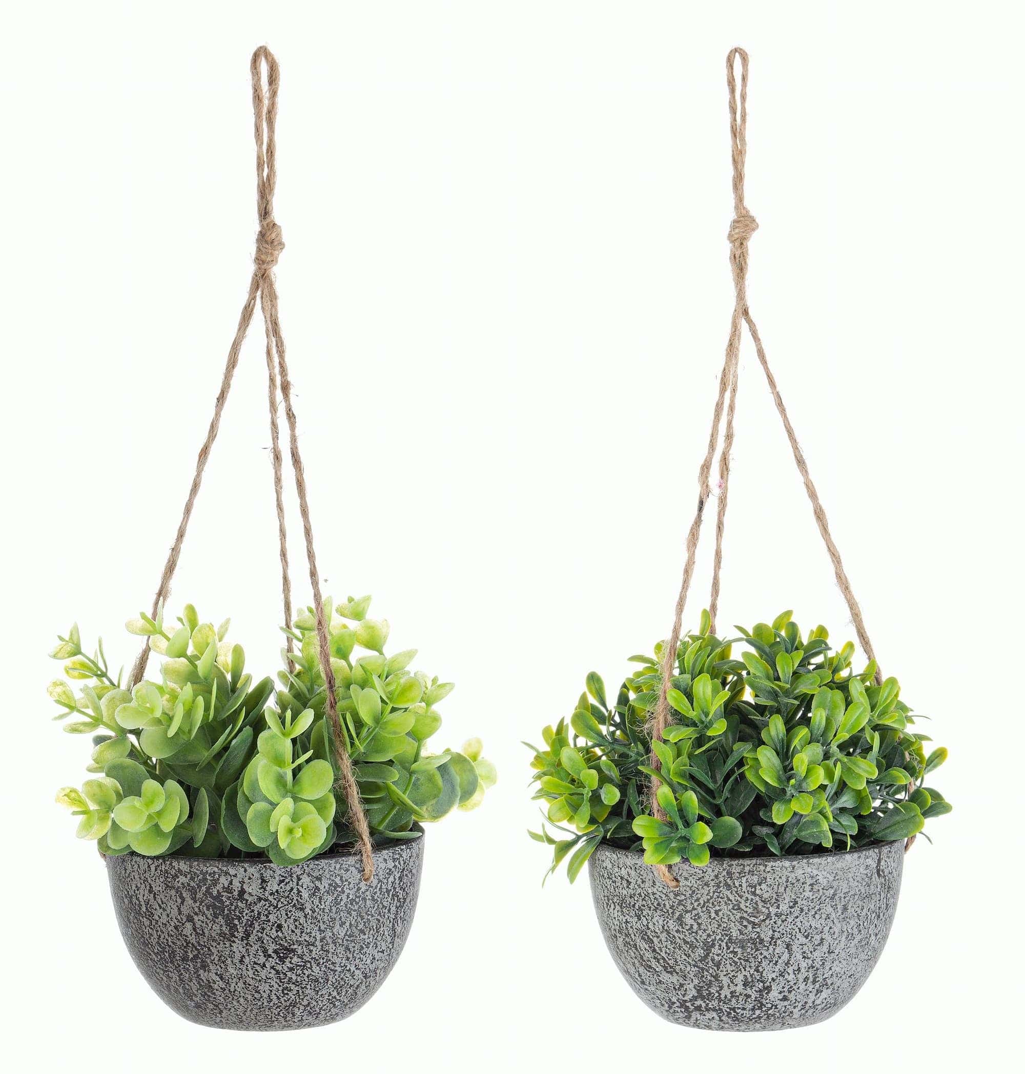 Planta artificiala in ghiveci suspendabil Pumila Verde / Gri, Modele Asortate, Ø10,5xH13 cm