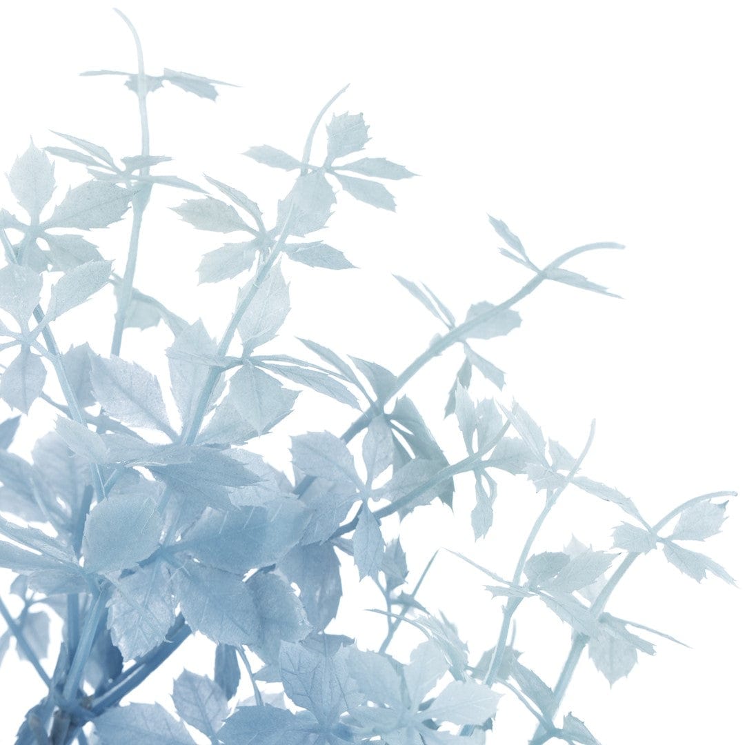 Decoking Set 10 fire flori artificiale, Bazy Bleu, H70 cm