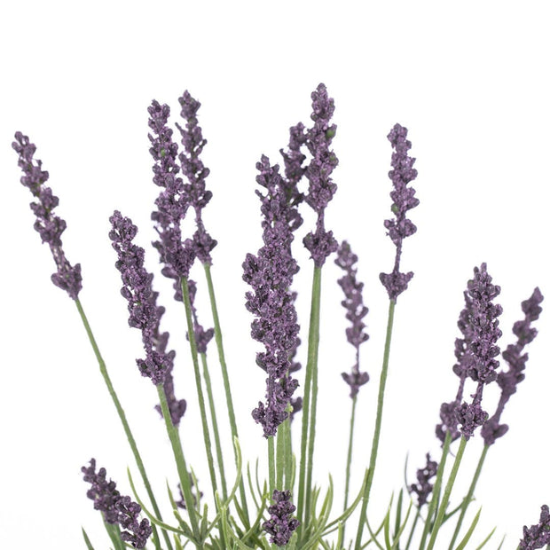 Decoking Set 10 fire flori artificiale, Lavi Mov / Verde, H40 cm