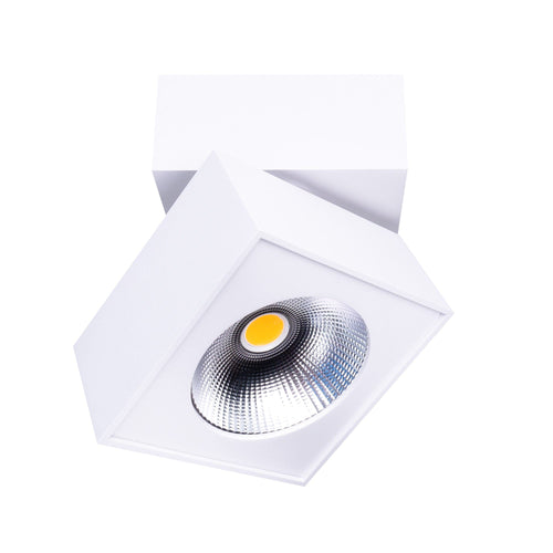 Maxlight Spot Artu C0106 Alb / Crom
