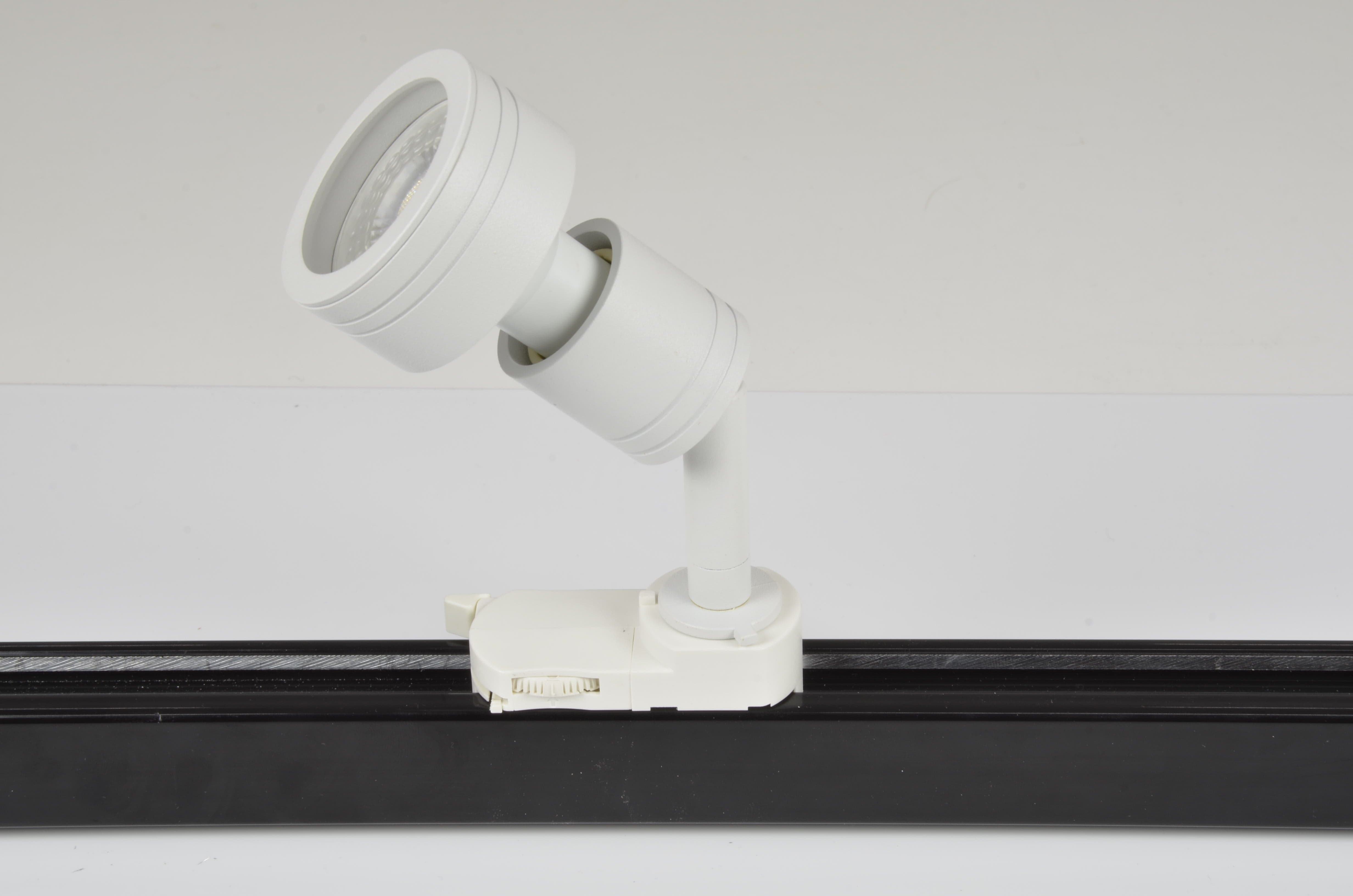 Spot Jane Alb, AZ2460 (1)