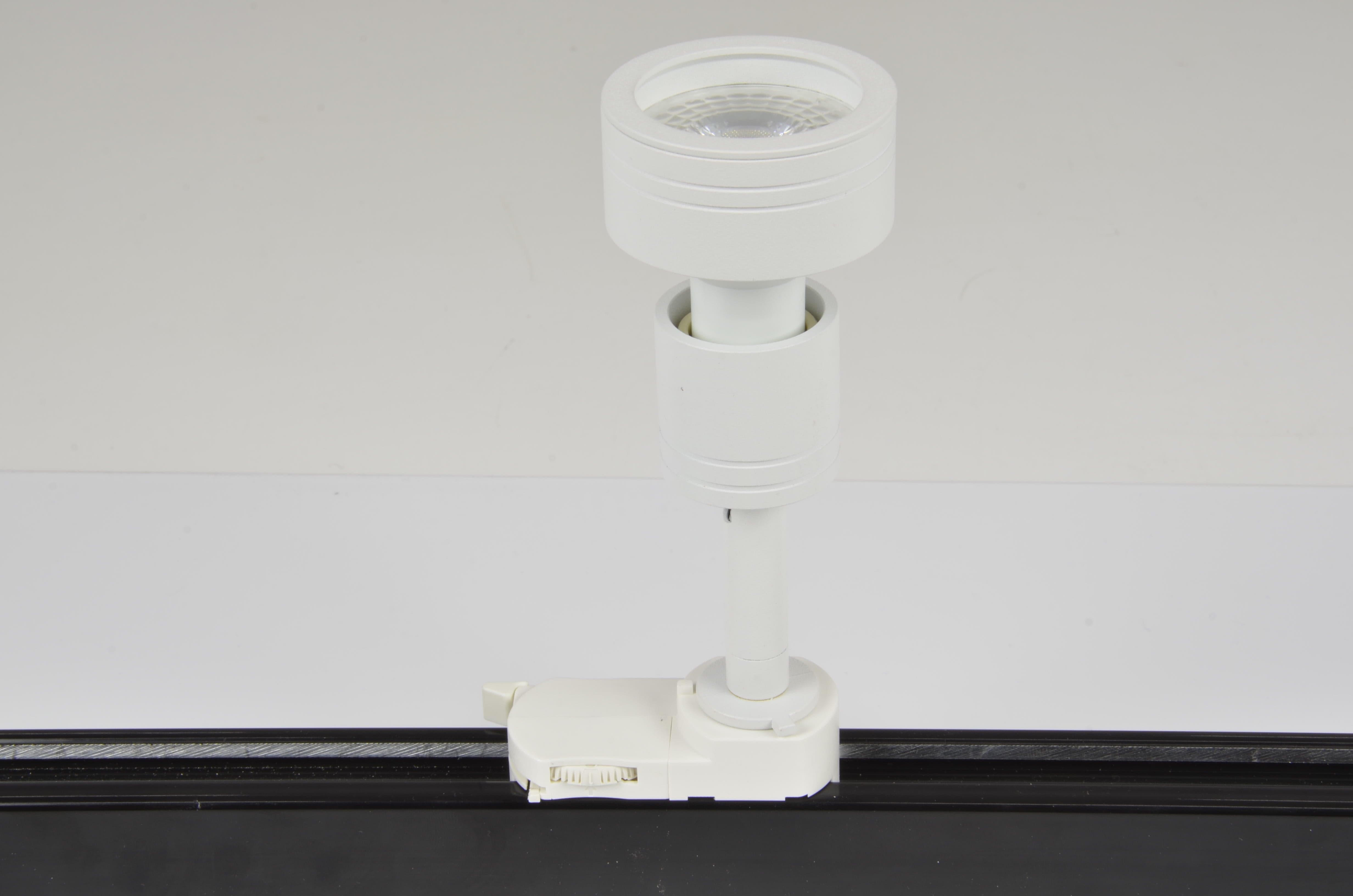 Spot Jane Alb, AZ2460 (2)