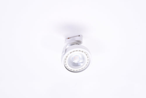 Spot Jerry Alb, AZ4667