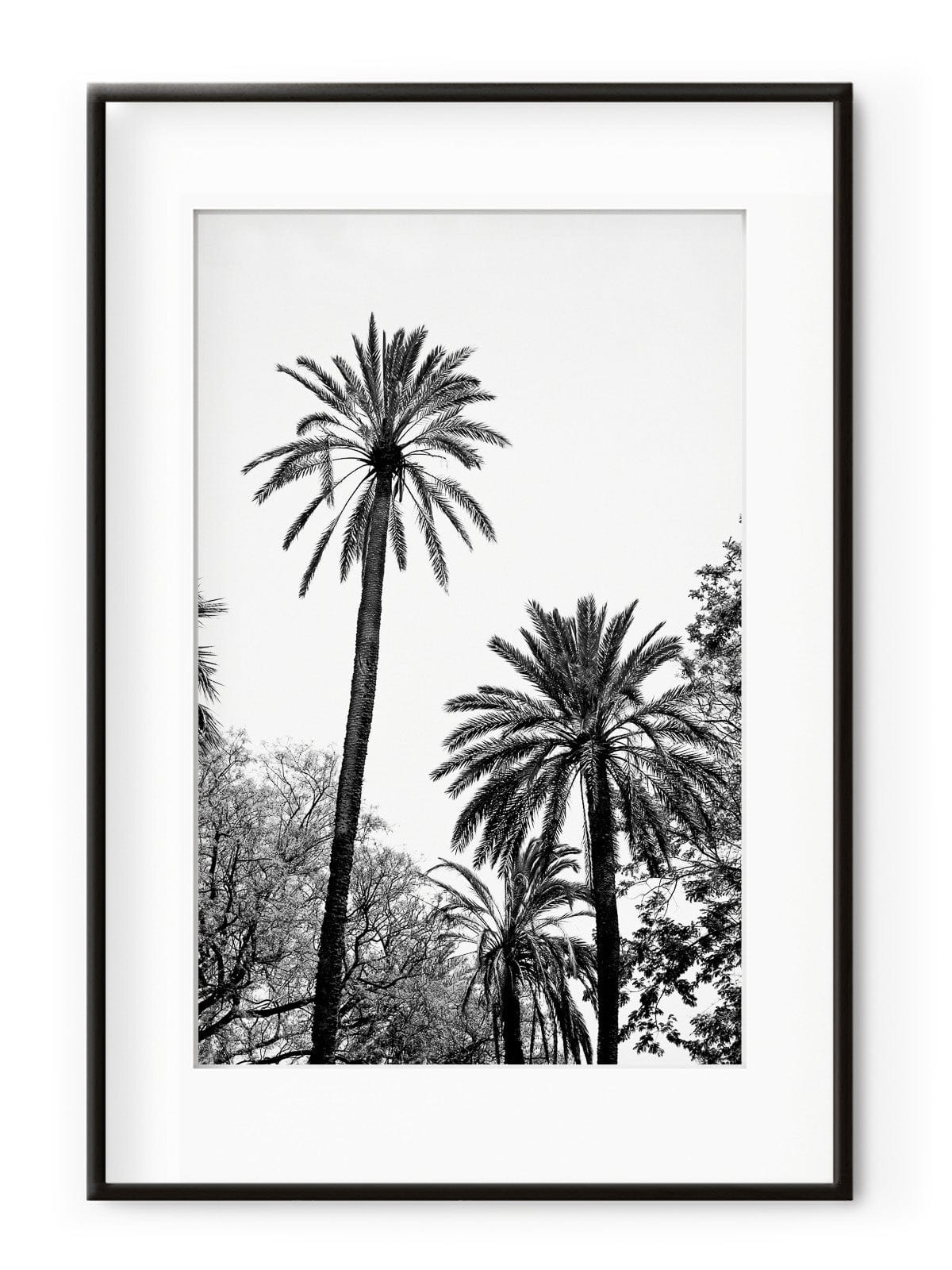 BFSummer Tablou Grands Palmiers Aluminium Noir-30 x 40 cm