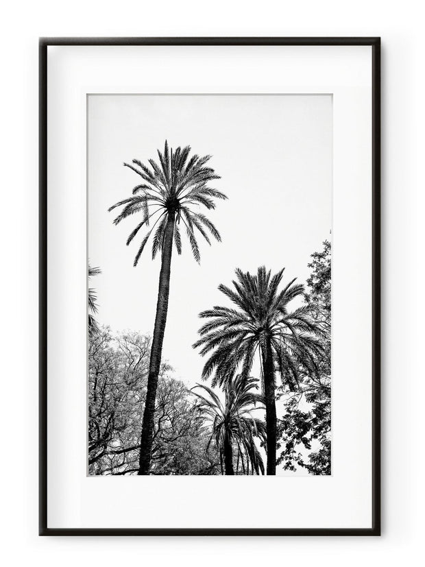 BFSummer Tablou Grands Palmiers Aluminium Noir-30 x 40 cm