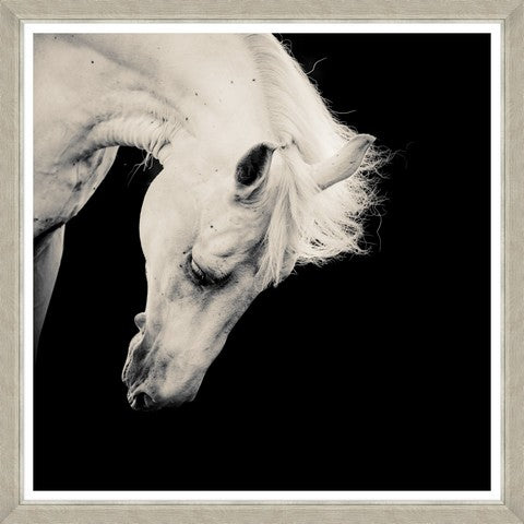 Tablou 4 piese Framed Art Horse Portraits (4)