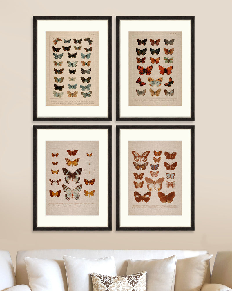Tablou 4 piese Framed Linen Butterflies Plate I & IV (1)