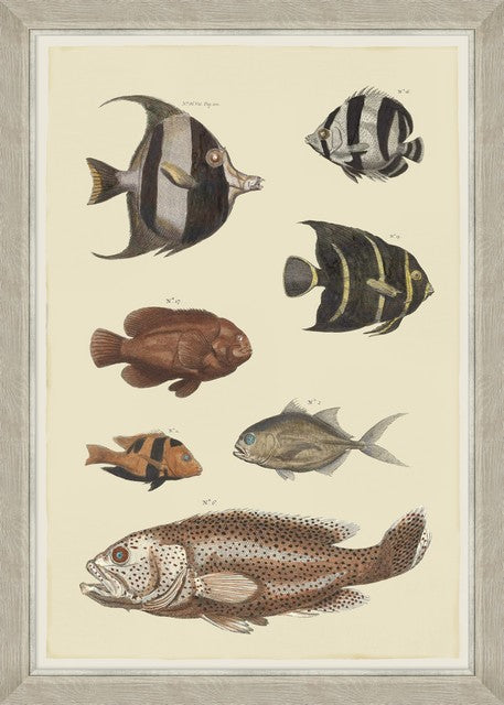 Tablou 4 piese Framed Art Marine Life Plates (1)