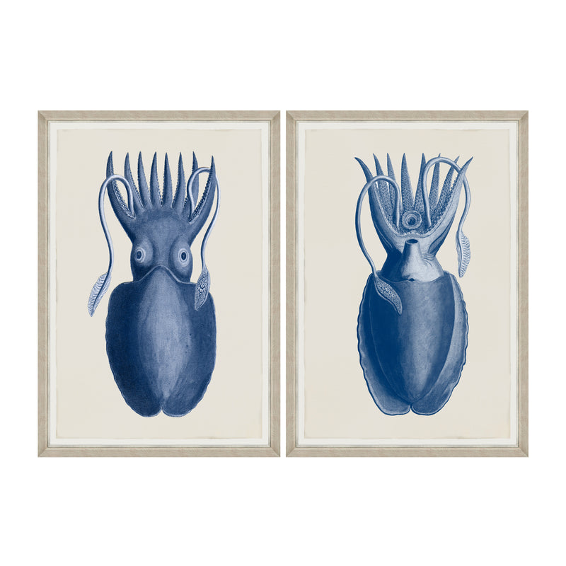 Tablou 2 piese Framed Art Cuttlefish On Blue