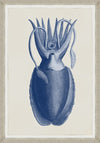 Tablou 2 piese Framed Art Cuttlefish On Blue (2)