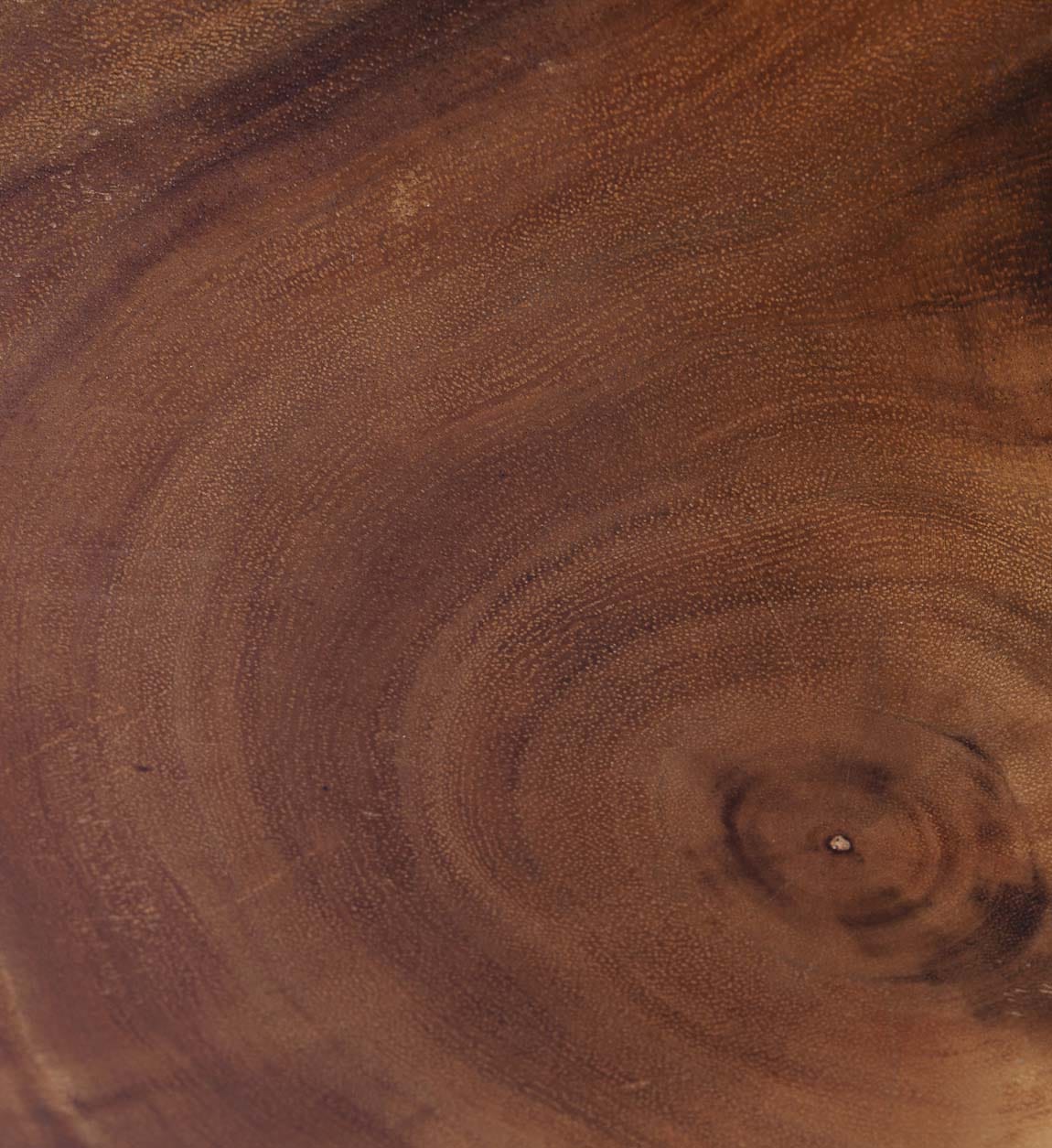 Decoratiune de perete, Suar Maro, 50 x 50 cm (2)