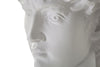 Mauro Ferretti Decoratiune din rasina Ancient Head Sculpture Alb, L44xl35,5xH60 cm