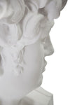 Mauro Ferretti Decoratiune din rasina Ancient Head Sculpture Alb, L44xl35,5xH60 cm