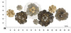 Mauro Ferretti Decoratiune metalica de perete, Bungy Multicolor, l149,2xA8,9xH61 cm