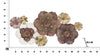 Mauro Ferretti Decoratiune metalica de perete, Florr Multicolor, l117,5xA10,5xH57 cm