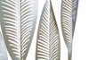 Mauro Ferretti Decoratiune metalica, Lovely Leaf Auriu, l47xA10xH52,5 cm