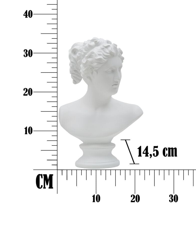 Decoratiune din polirasina Roman B Alb, l21,5xA14,5xH34 cm (5)