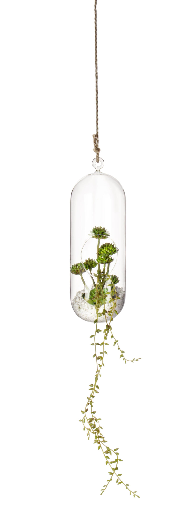Decoratiune suspendabila din sticla, cu plante Bubble High Transparent / Verde, Ø12,6xH31 cm