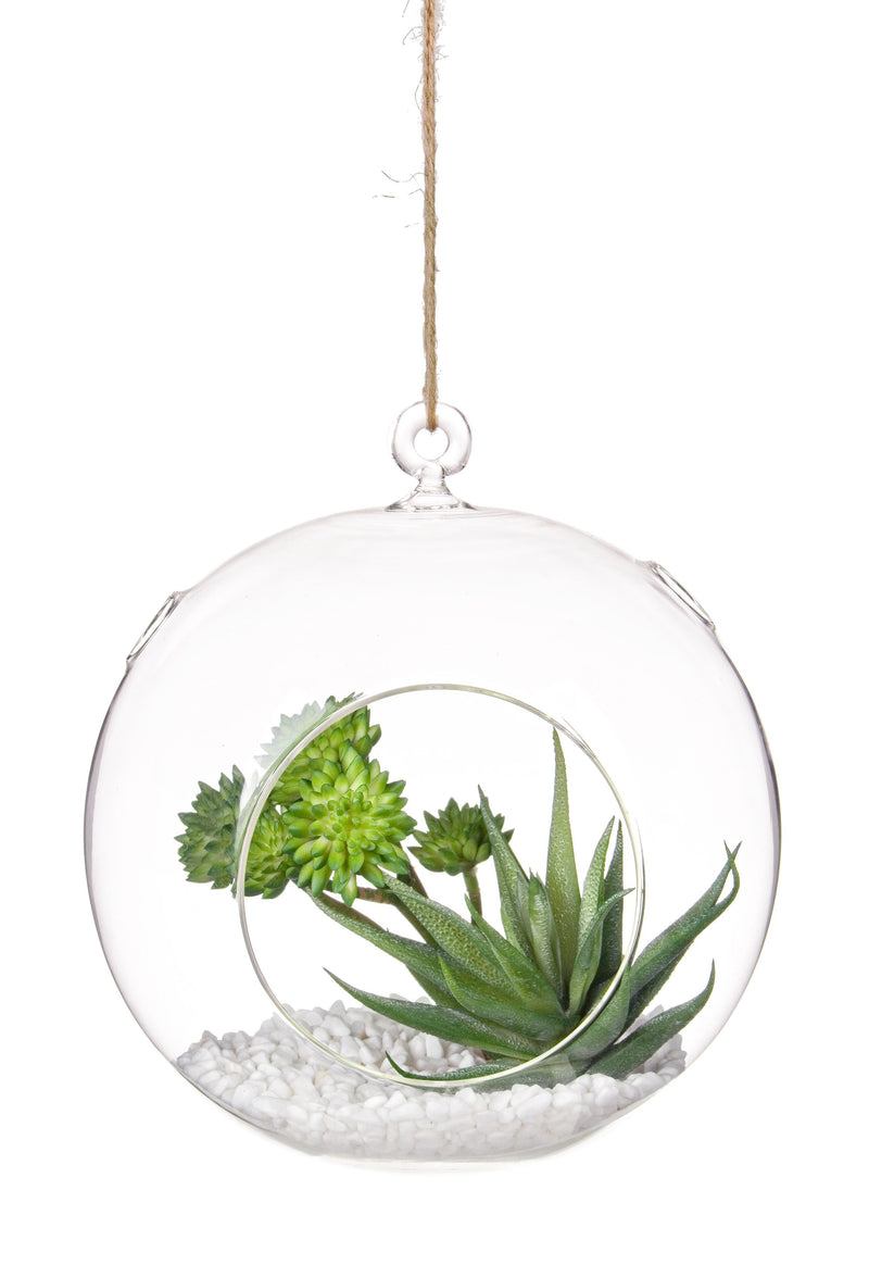 Decoratiune suspendabila din sticla,  cu plante Bubble Roung Transparent / Verde, Ø20,5xH21 cm