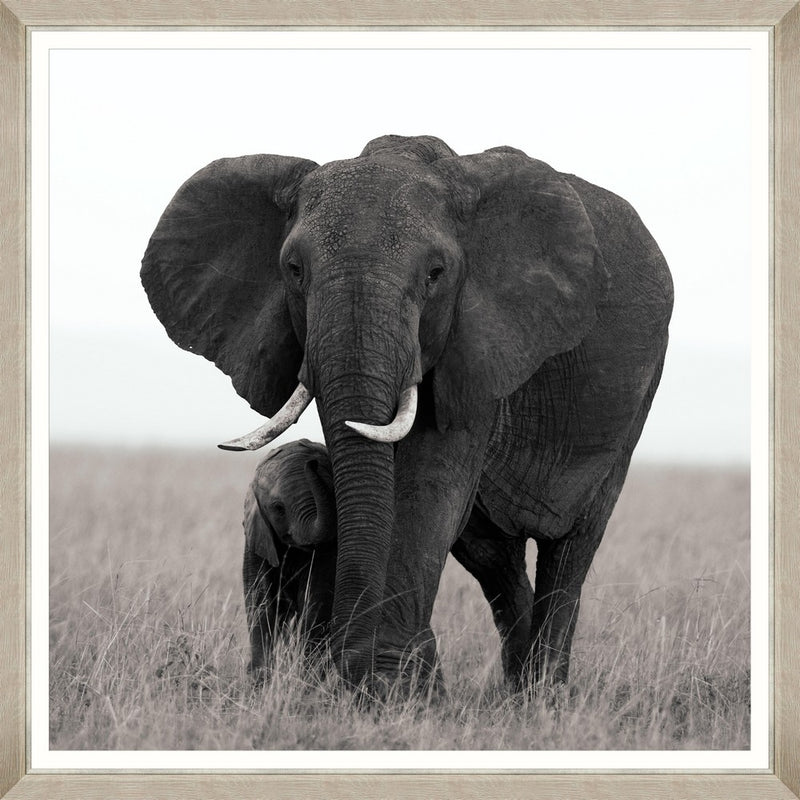 Tablou Framed Art Elephant Love