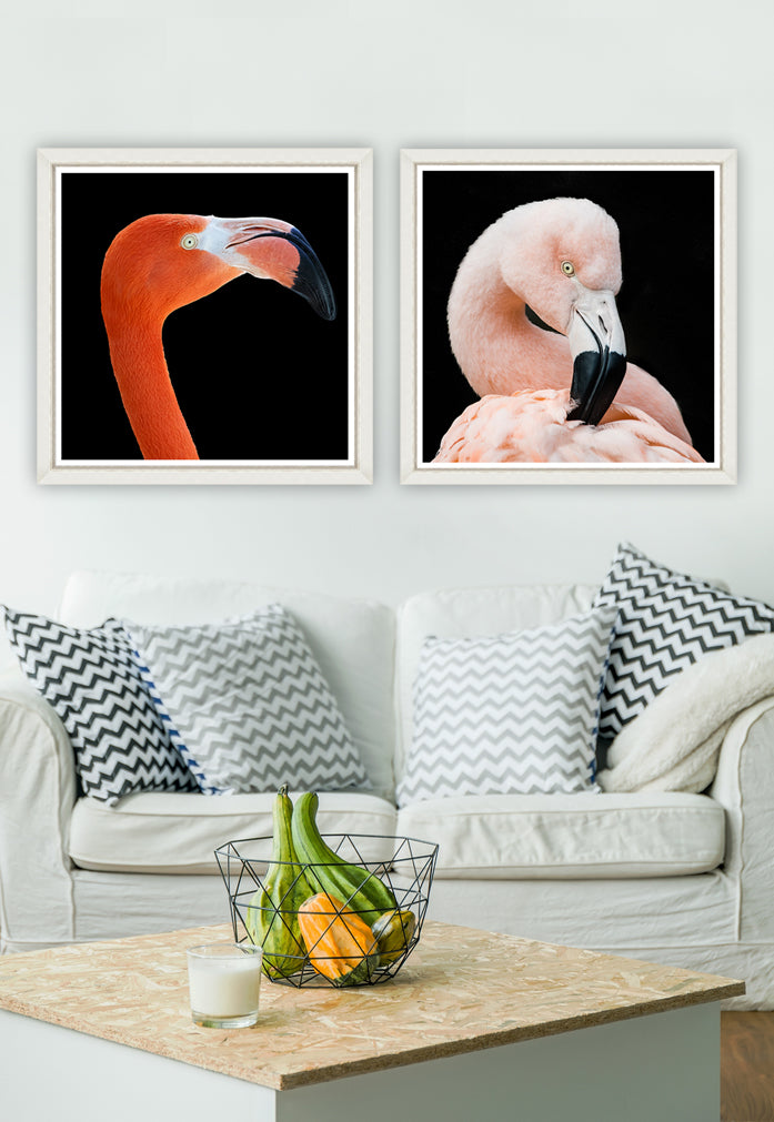 Tablou 2 piese Framed Art Flamingos (1)