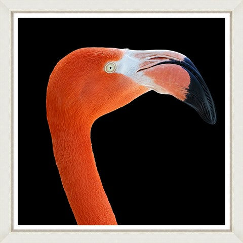 Tablou 2 piese Framed Art Flamingos (3)