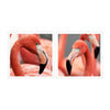 Tablou 2 piese Framed Art Flamingo Heads