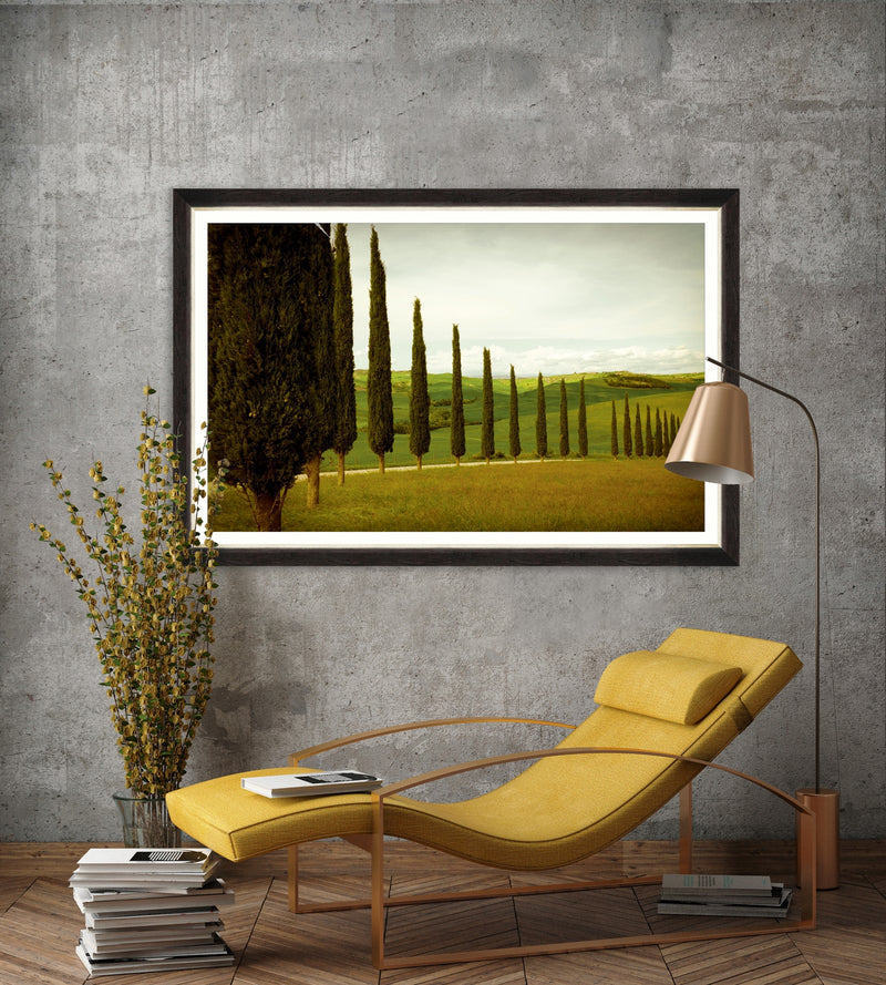 Tablou Framed Art Cypress Road (1)