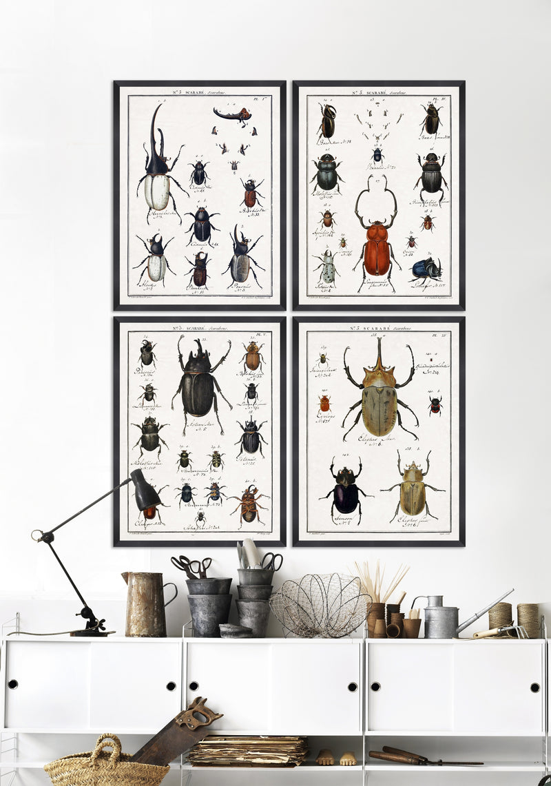 Tablou Framed Art Entomology IV (1)