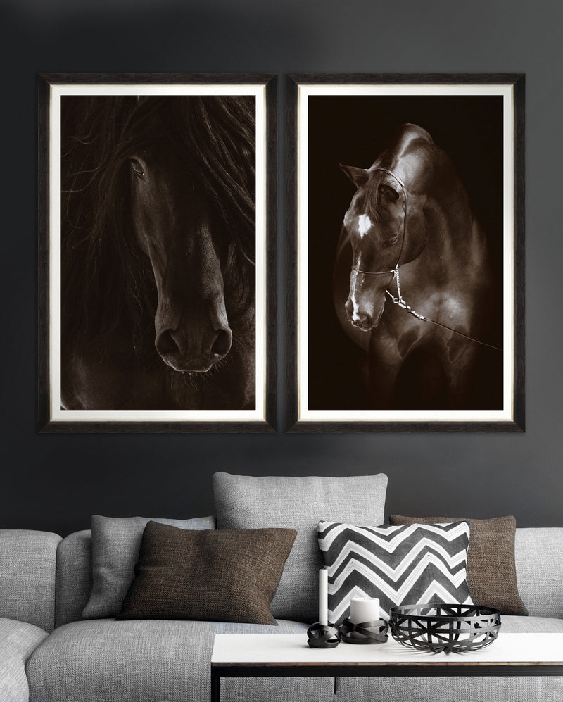 Tablou Framed Art Horse Resting (1)
