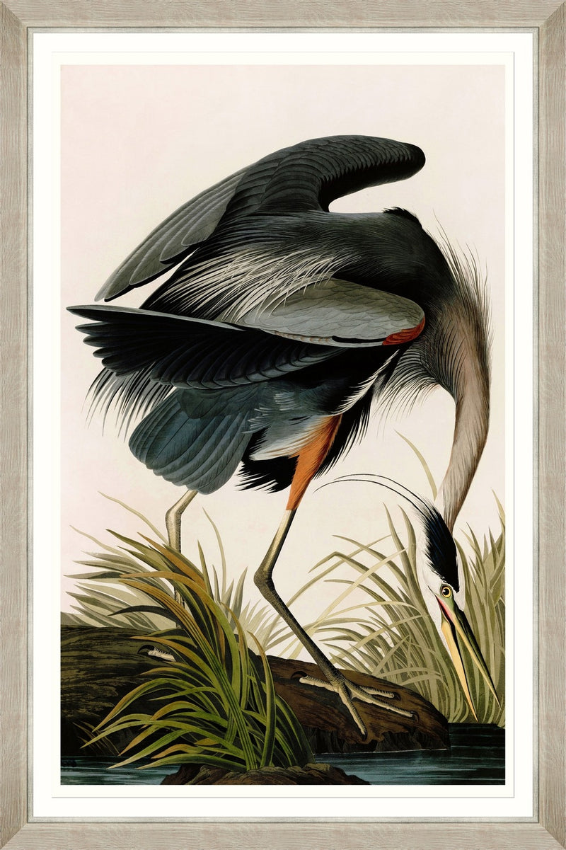 Tablou Framed Art Great Blue Heron By Audubon