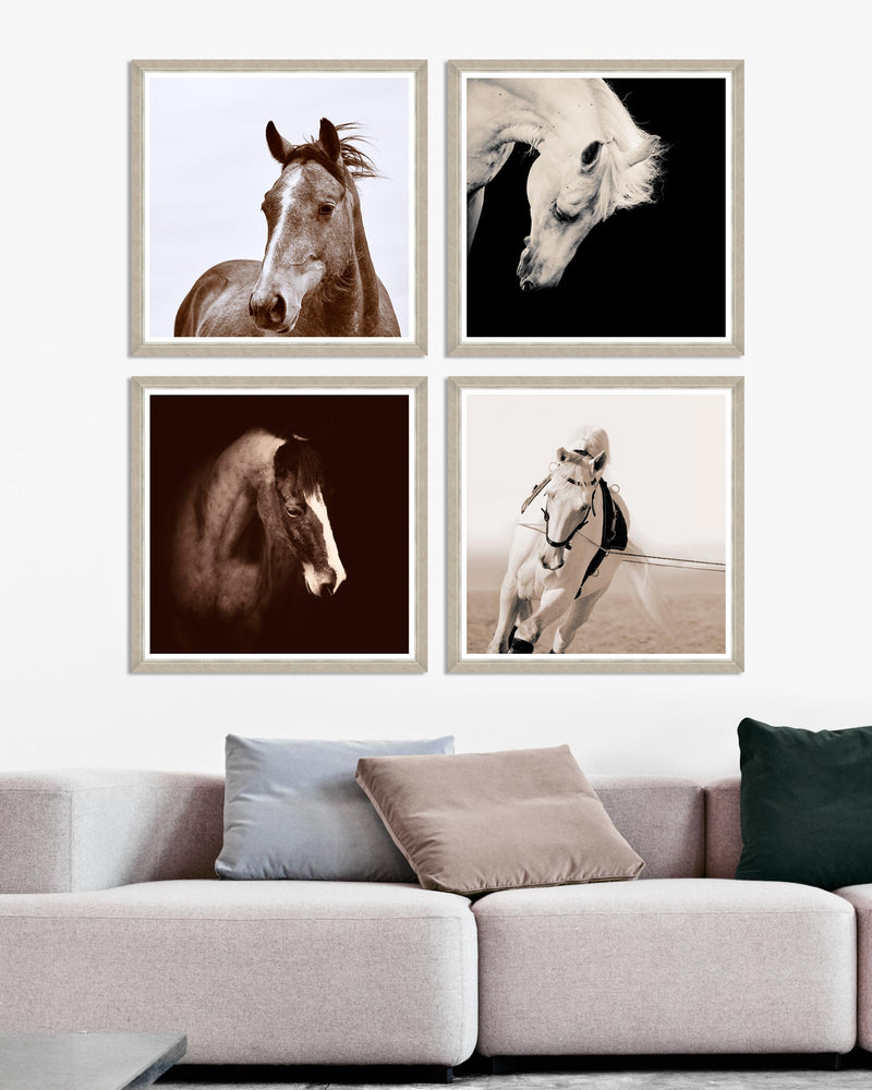 Tablou 4 piese Framed Art Horse Portraits (1)