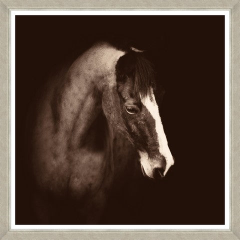 Tablou 4 piese Framed Art Horse Portraits (2)