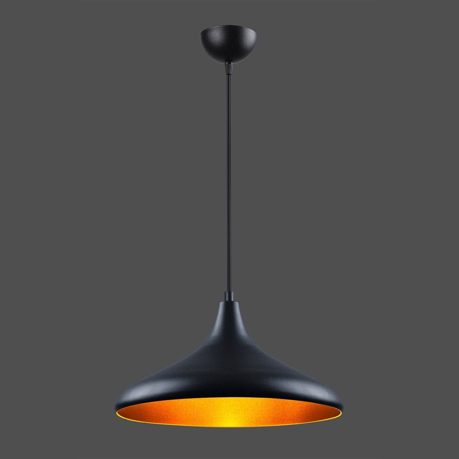 Lustra Atelier Negru / Auriu (2)
