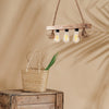 Asir Lustra Erebos 105-AV Natural