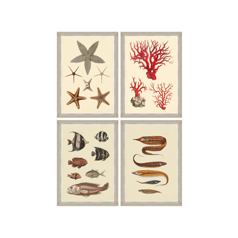 Tablou 4 piese Framed Art Marine Life Plates