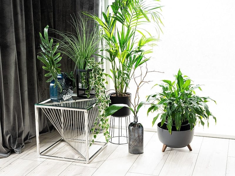 Signal Masa de cafea din sticla si metal Folker B Transparent / Crom, L55xl55xH55 cm