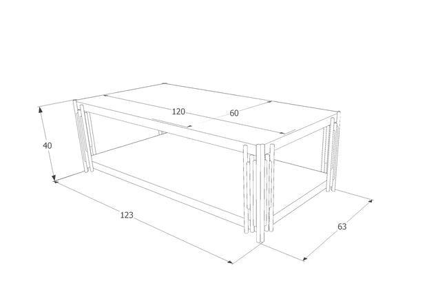 Masa de cafea din sticla si metal, Franie A Fumuriu / Crom, L120xl60xH40 cm (2)
