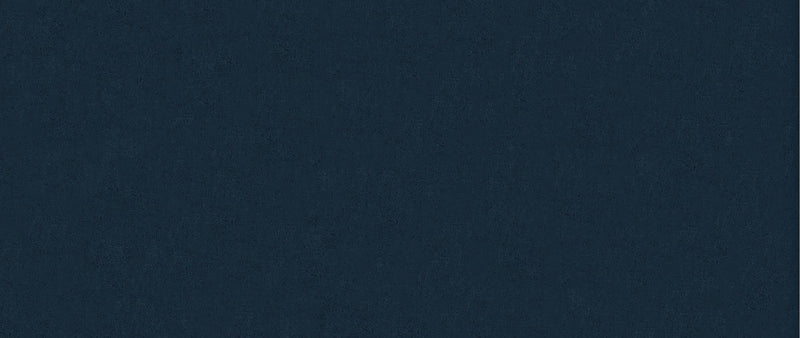 Coltar Extensibil Ricky Plus Bleumarin / Gri Deschis cu Lada de Depozitare, Sezlong pe Dreapta, Tetiere Reglabile, Perna Inclusa, l280xA205xH70-90 cm (1)