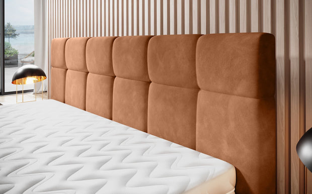 Wersal Pat tapitat Nomis SR