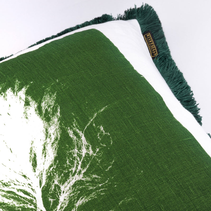 Perna decorativa Algae II Verde / Alb, L50xl50 cm (3)